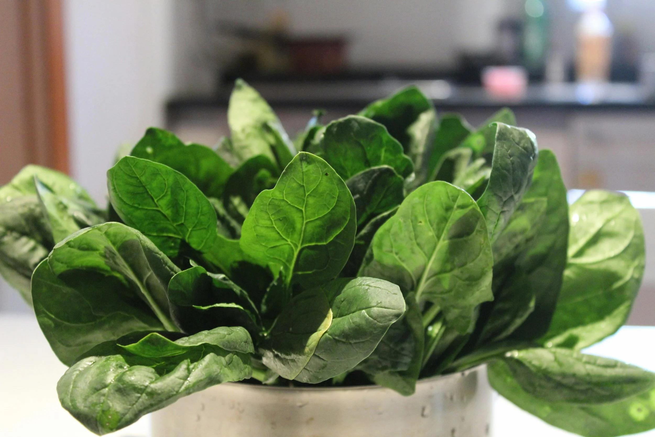 Spinach Wraps