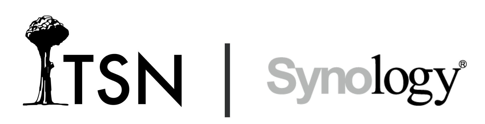 TSN is an official Synology Partner.