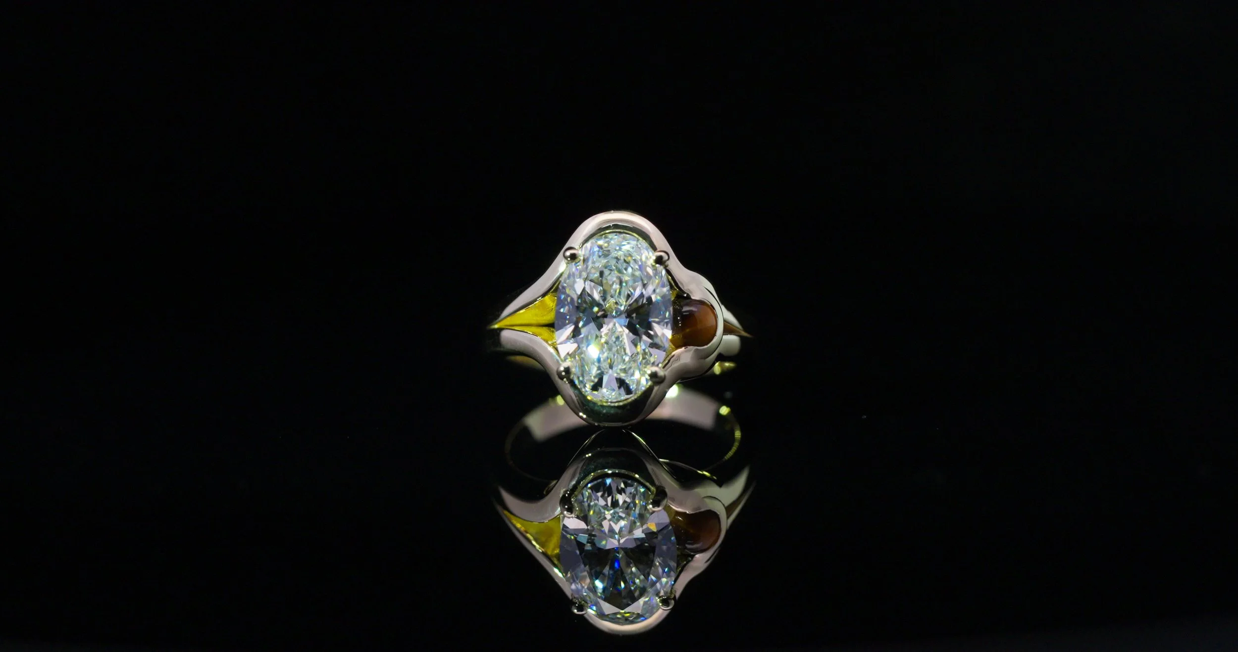 Behind the Scenes of the Sedona Proposal Documentary