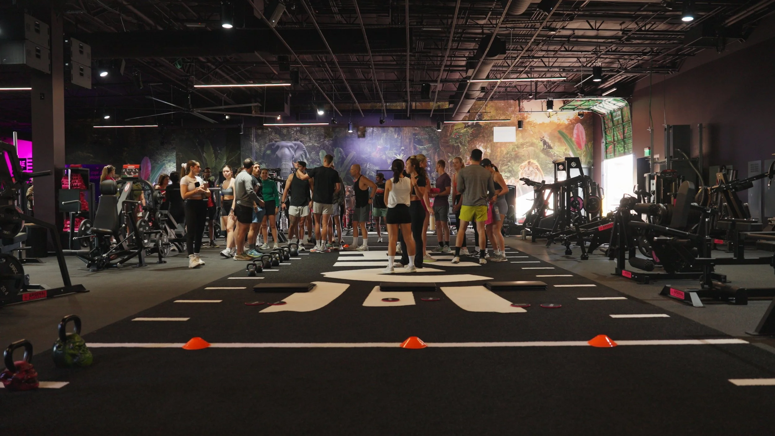 Group fitness workout session at Hive Fit Club showing members training together on the gym floor.