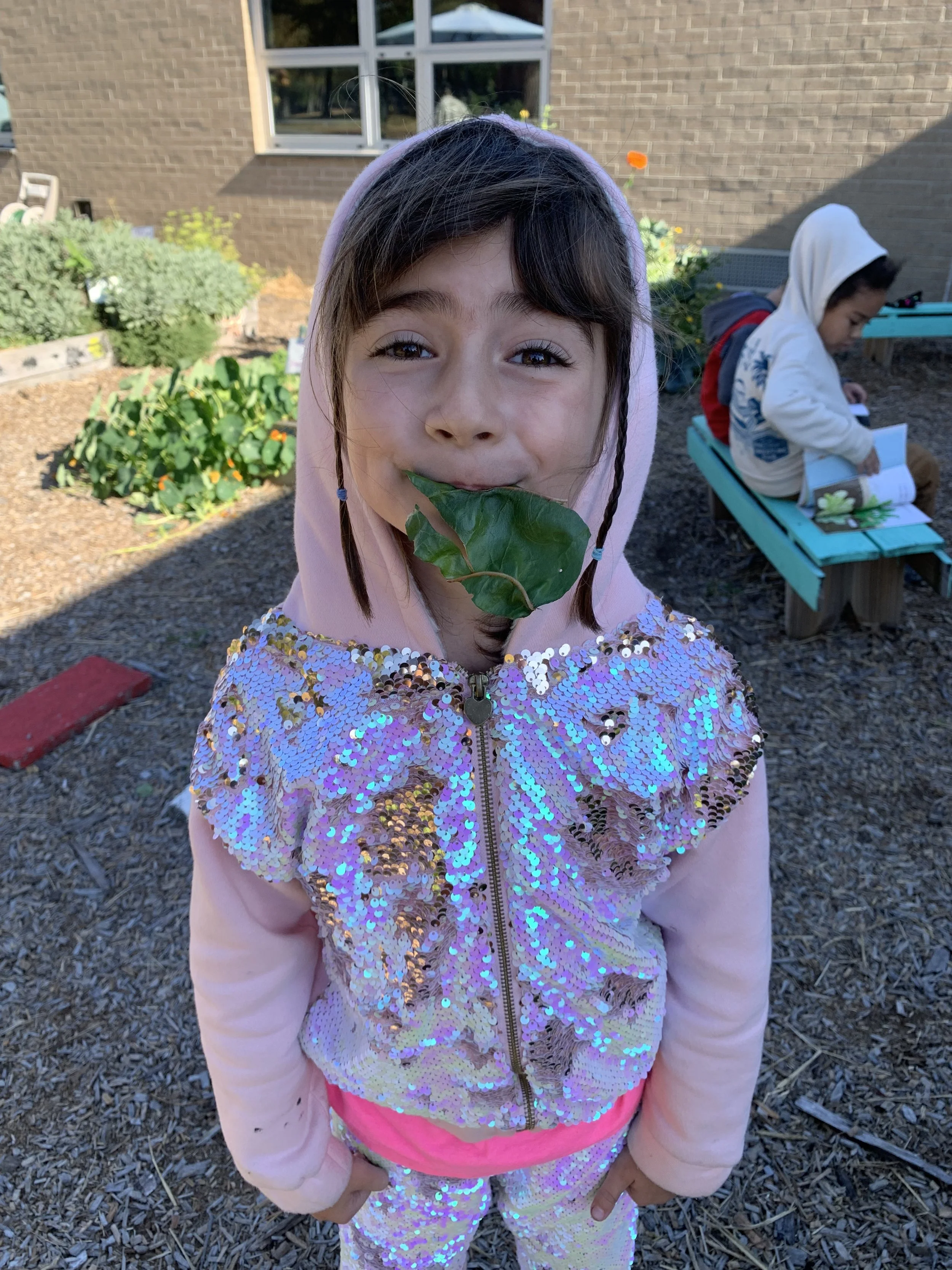 '24-'25 sargent 2nd grade Juniper with chard.jpeg