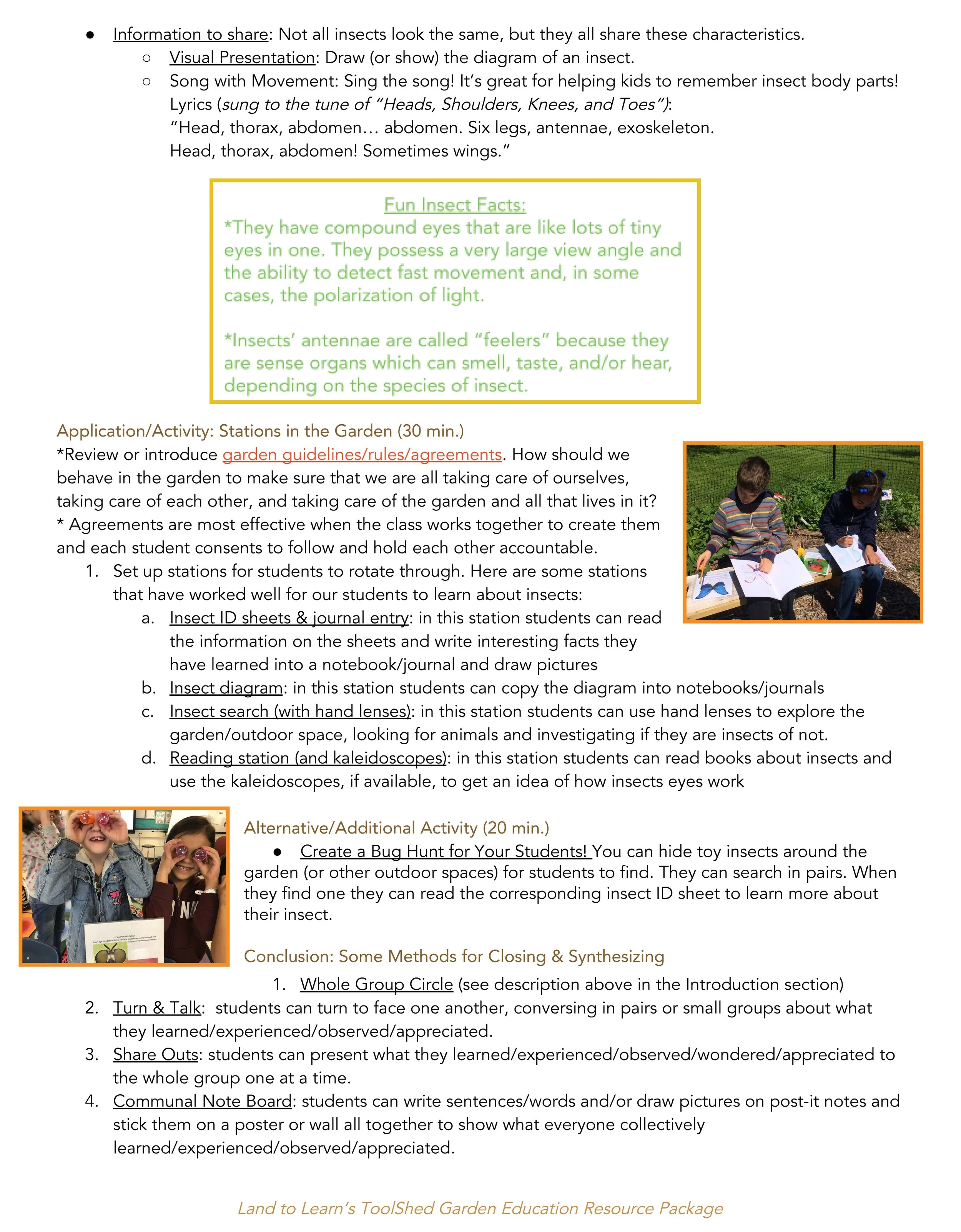 Discovering Insects (1)_Page_2.jpg