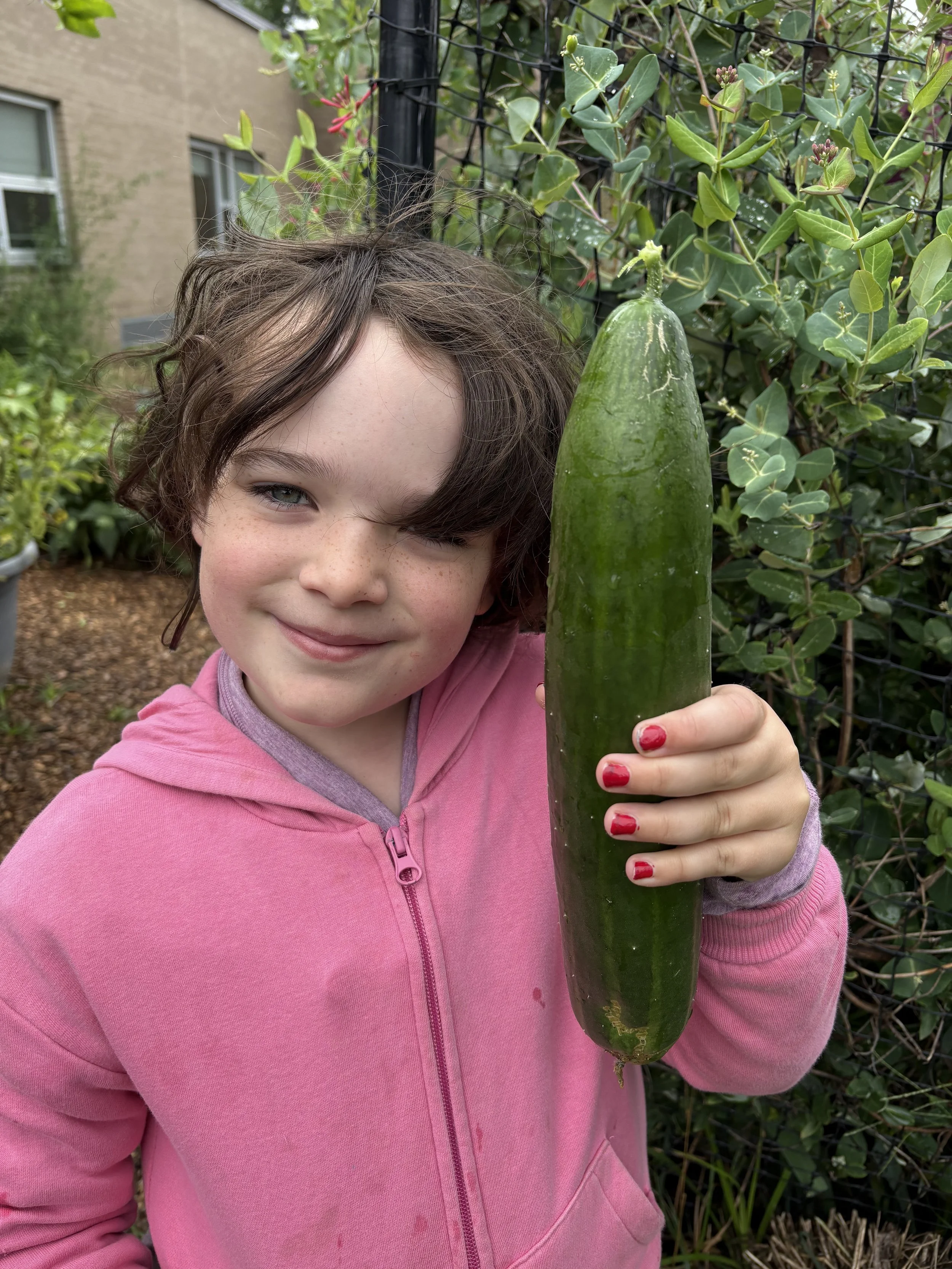 smile w big cucumber in garden Beacon 2025.jpg
