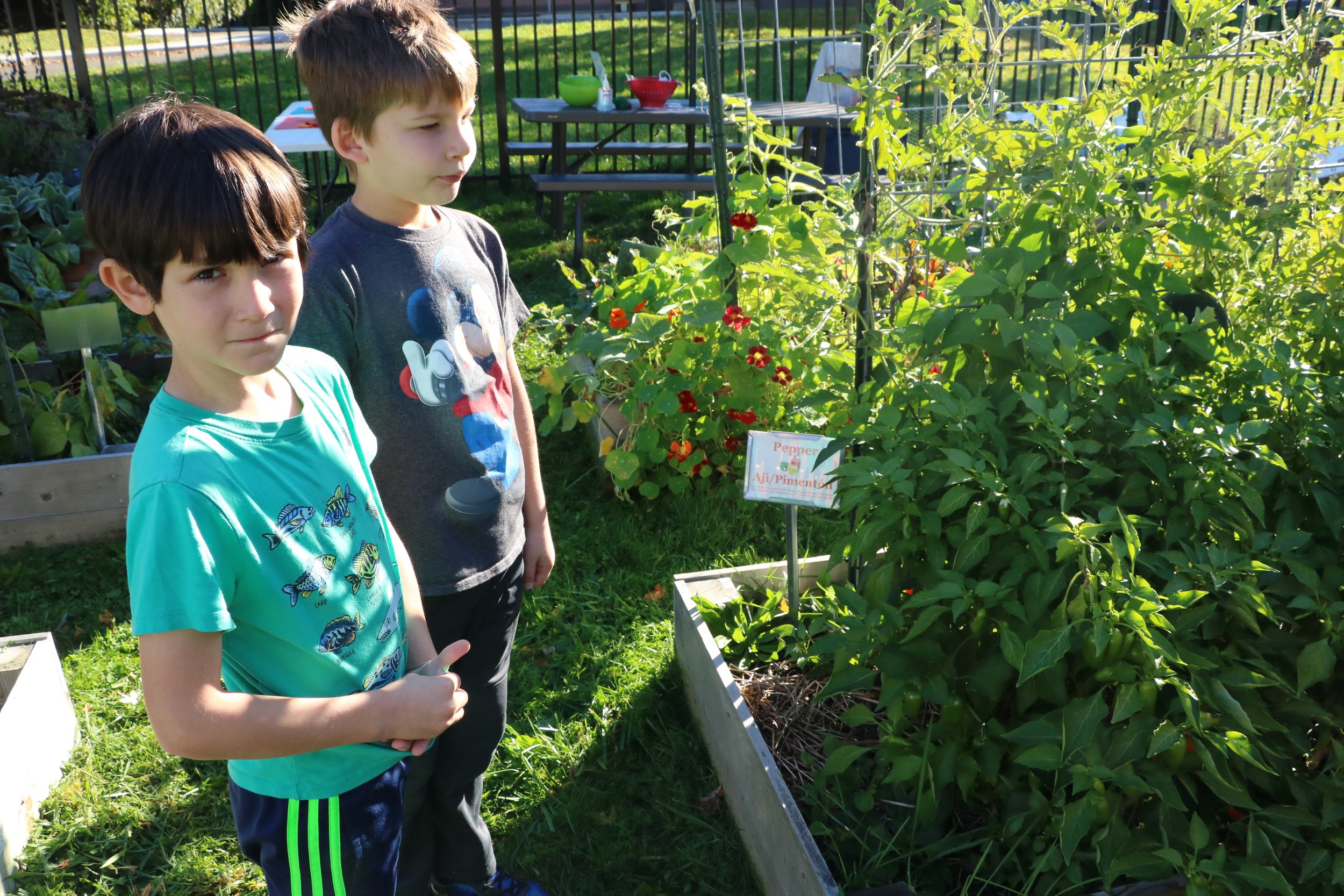 Owen and Jack - South.JPG