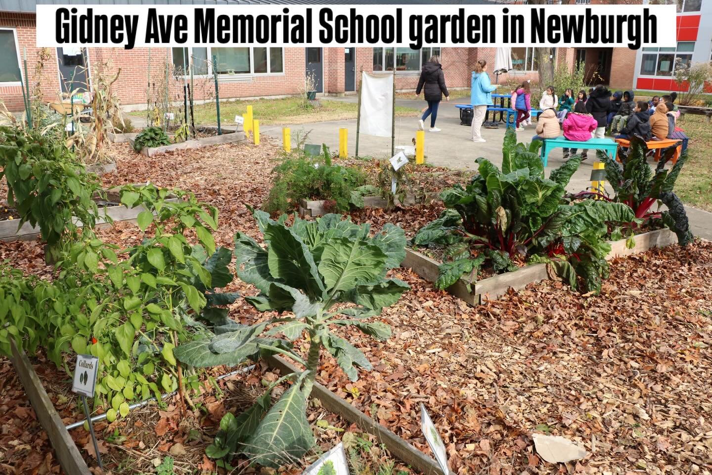 Monday Mention! Thank you to the M&amp;T Charitable Foundation for their grant support for our Newburgh SproutEd programming. With their support, we are able to reach 1,320 Newburgh kids in our garden time lessons. Founded in 1993, the M&amp;T Charit