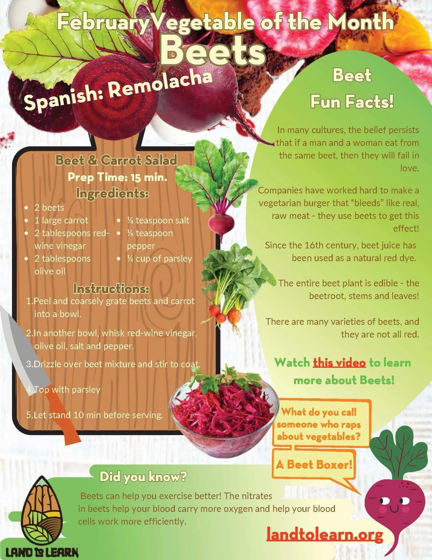 Do you &ldquo;got the beet&rdquo;?? 🫜🫜🫜 Our Vegetable of the Month for February is&hellip;..Beets!