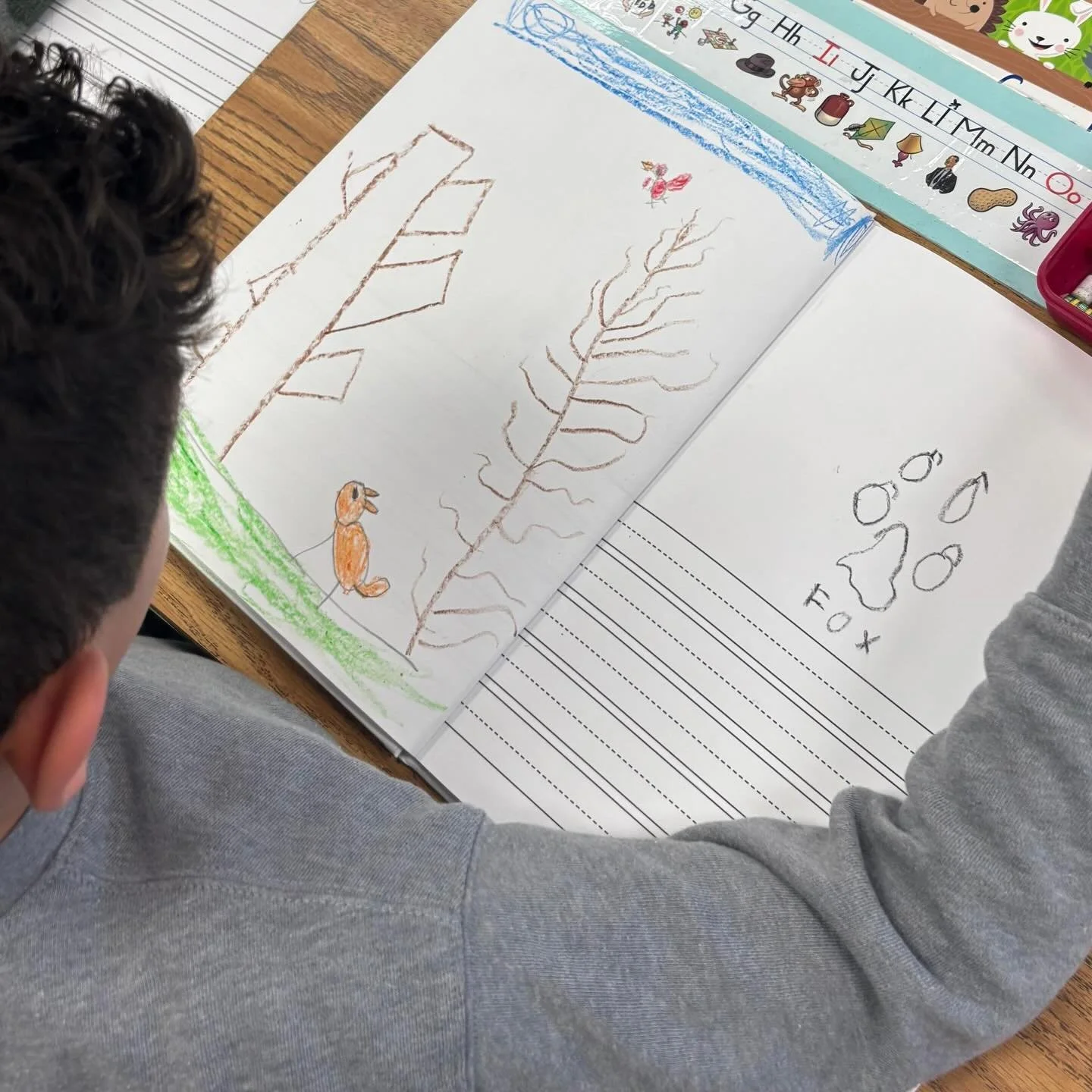 Deep in the depths of winter, buried under two feet of snow, the school garden sleeps. Our first-grade classrooms are taking advantage of this slow season to examine the winter garden habitat and discover ways in which plants and animals adapt to col