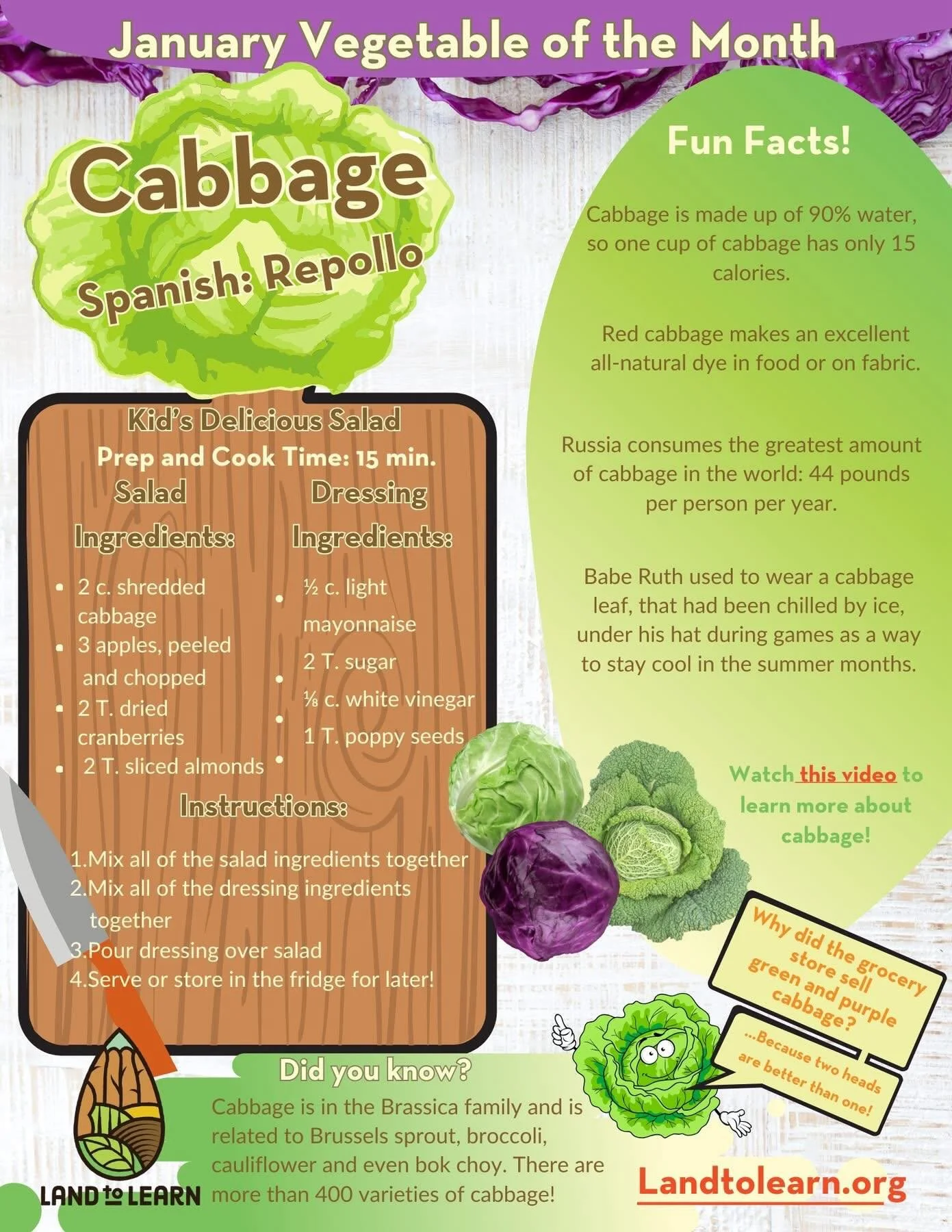 January&rsquo;s Vegetable of the Month is CABBAGE! There&rsquo;s so many fun facts about cabbage, we couldn&rsquo;t fit them all on our flyer! 

Cabbage has been cultivated for over 4,000 years and was highly valued by ancient civilizations. The Roma