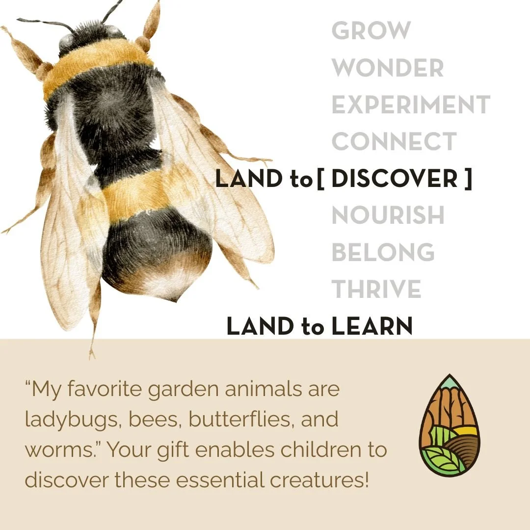 Land to Discover

In our summer and school programs, kids learn about entire garden ecosystems in their schoolyards:

🐛  Finding worms and learning why they matter for healthy soil
🐝 Watching pollinators visit flowers and understanding their role
?