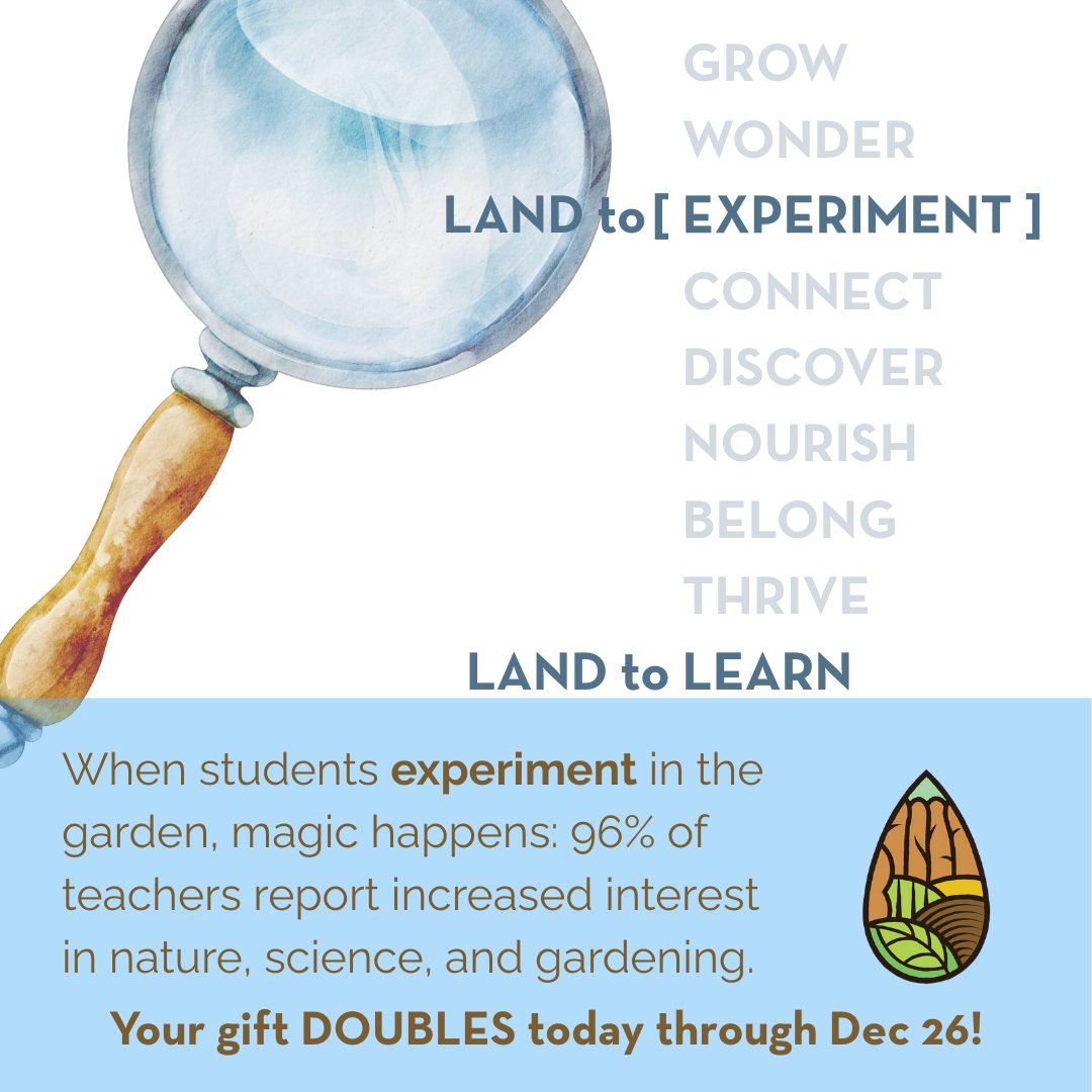 90% of our students try the vegetables they grow.

Not because we make them.
Not because we bribe them.

Because they: ✨ Watched it grow from a seed ✨ Took care of it themselves ✨ Are curious what it tastes like ✨ Feel brave enough to experiment

Whe