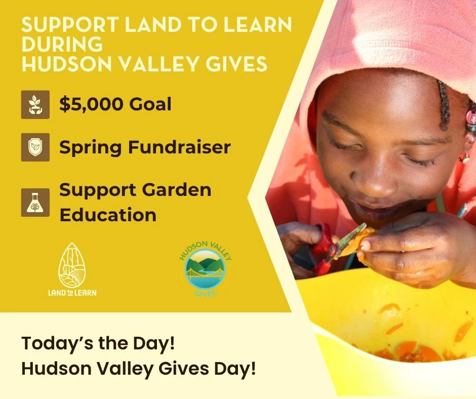$1000 will be awarded to the participating organization that receives the last online donation before the clock strikes midnight - in 10 minutes! - bringing on the new day of May 21, 2026. The last donation made at 11:59 PM EST on May 20, 2026 will w