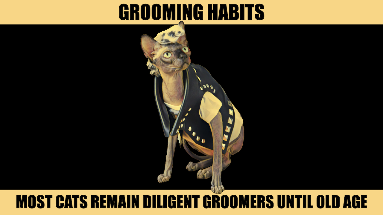 GROOMING HABITS.png