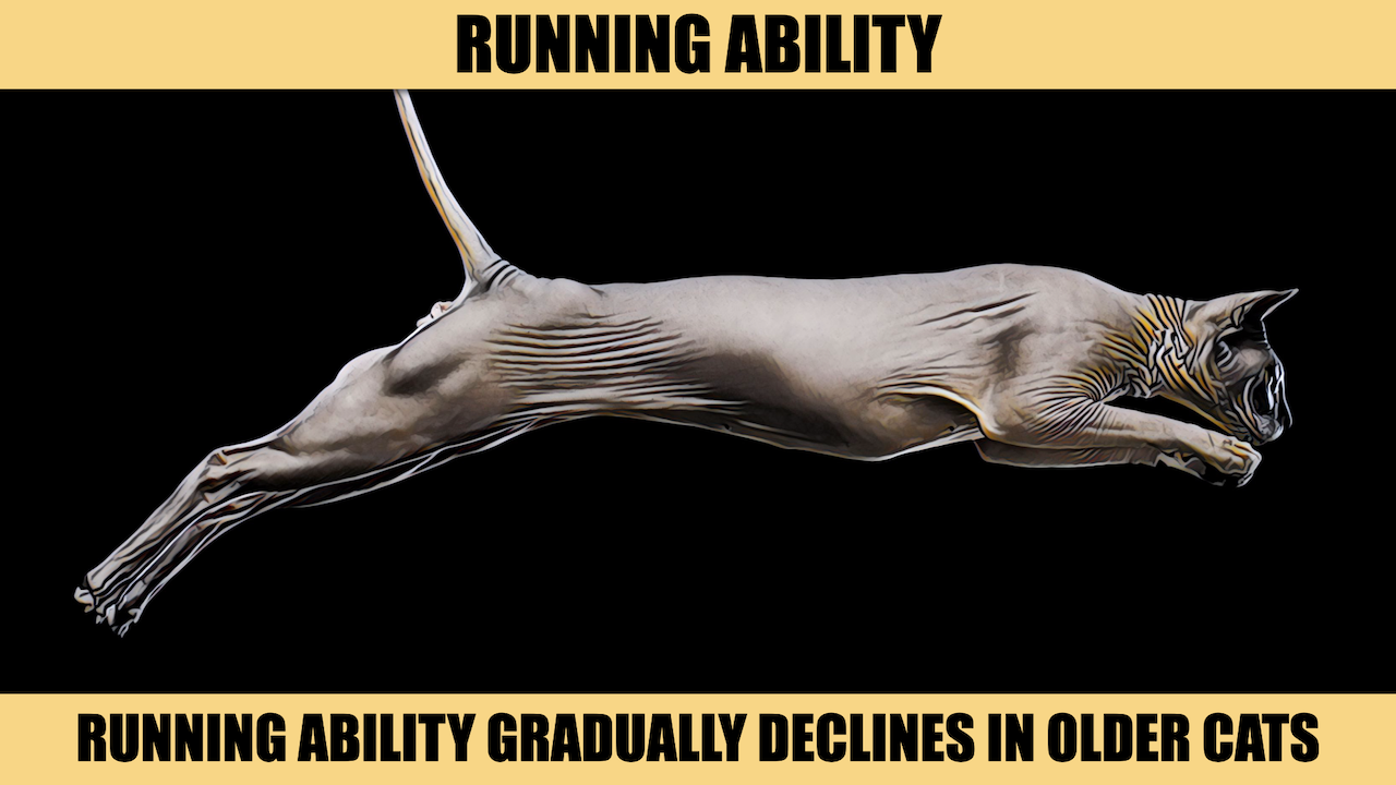 RUNNING ABILITY.png