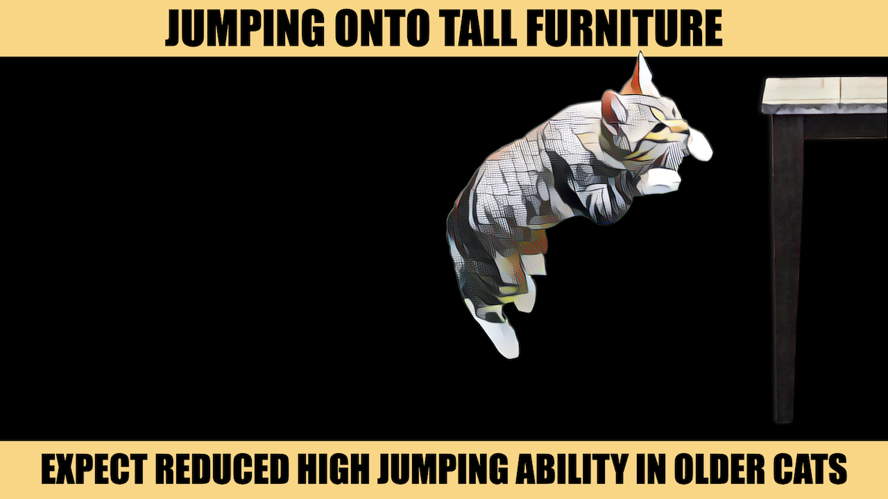 HIGH JUMPING.png