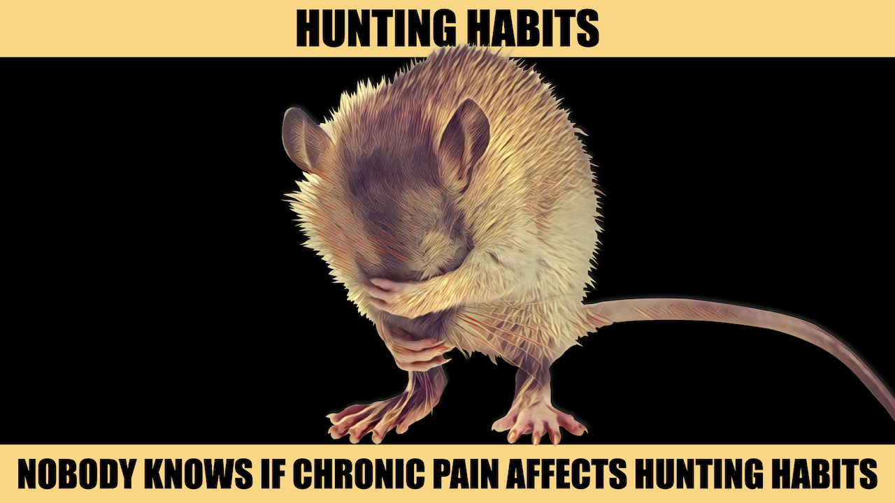 HUNTING HABITS.png