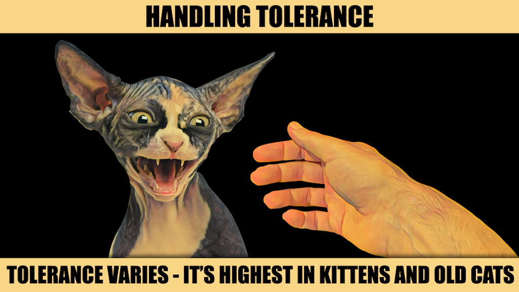 HANDLING TOLERANCE.png
