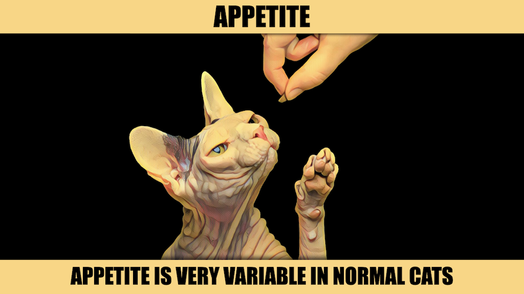 APPETITE.png