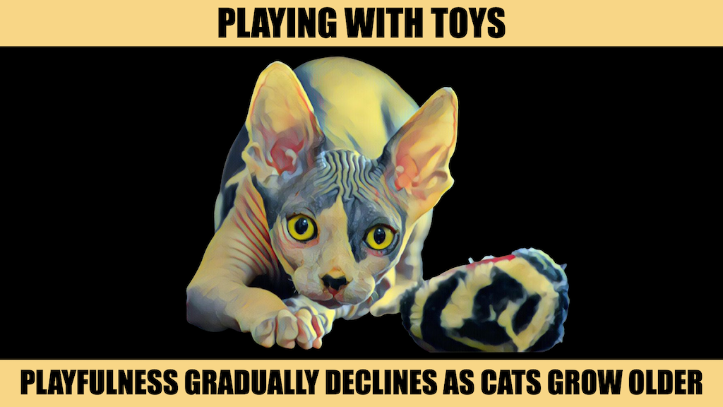 PLAYING WITH TOYS.png