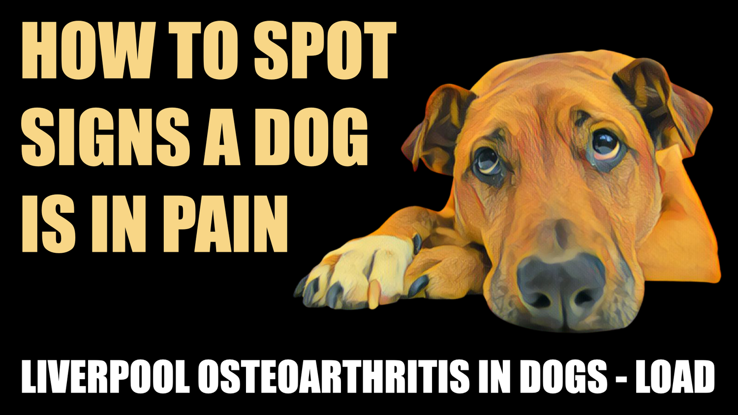 PAIN APPS — VETLESSONS