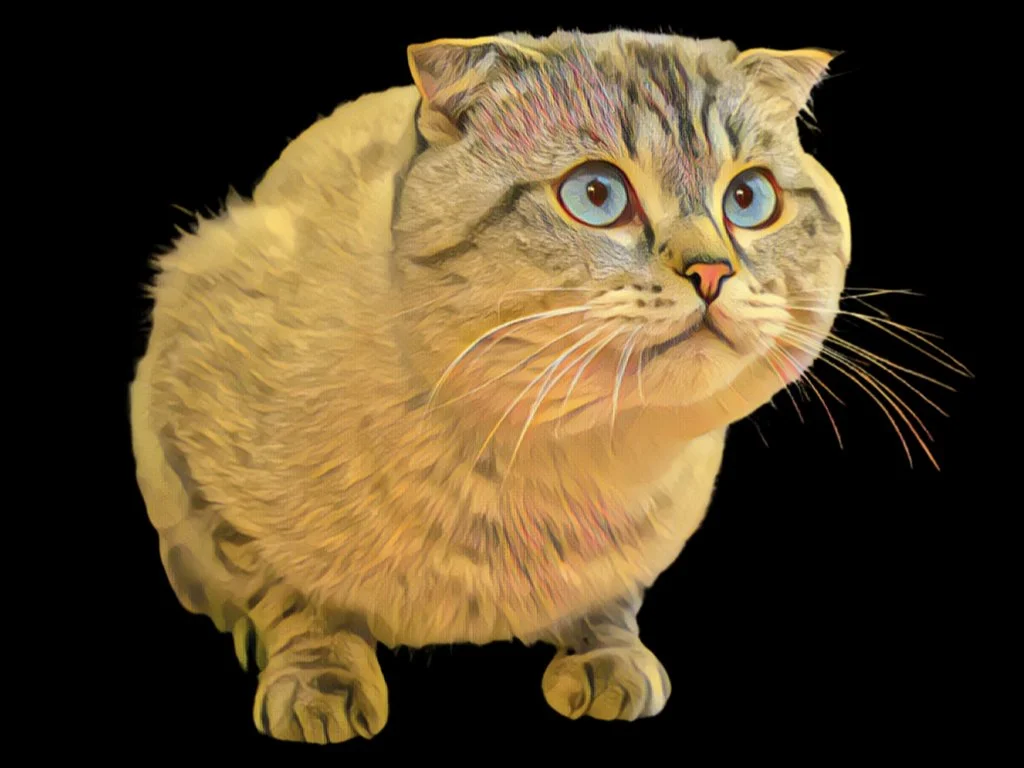 Lameness in Scottish Folds — VETLESSONS