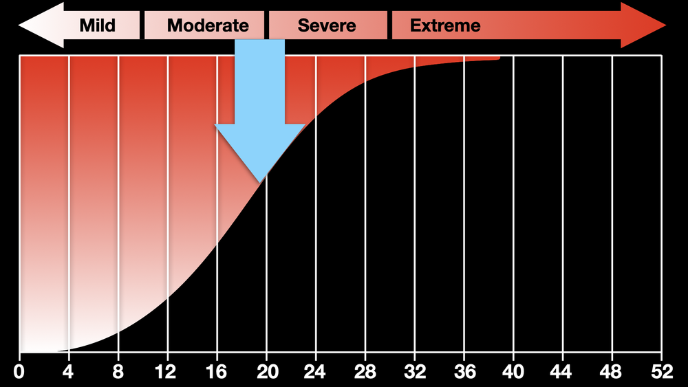 LIVERPOOL OSTEOARTHRITIS IN DOGS (LOAD) — VETLESSONS