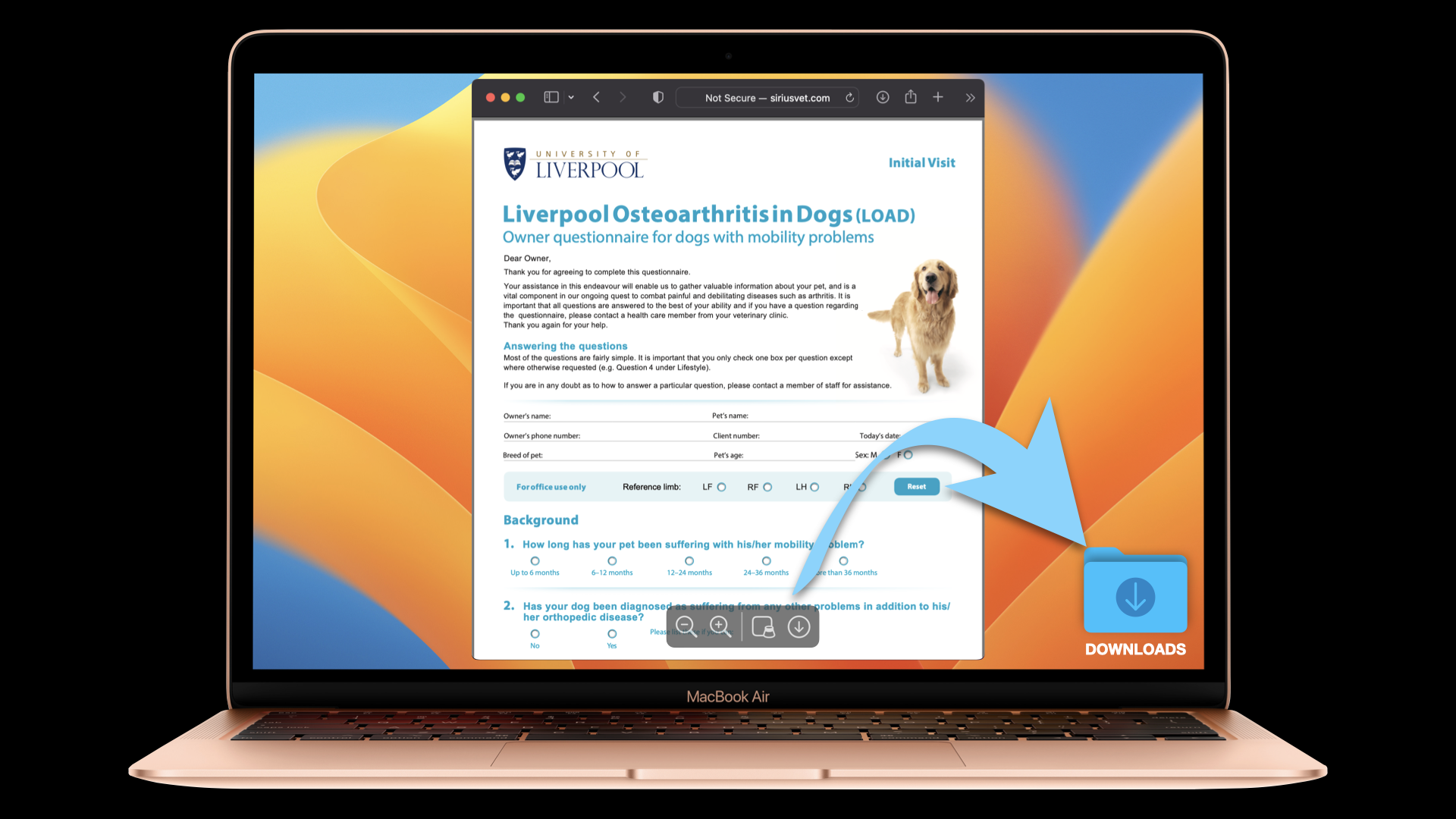 LOAD — VETLESSONS
