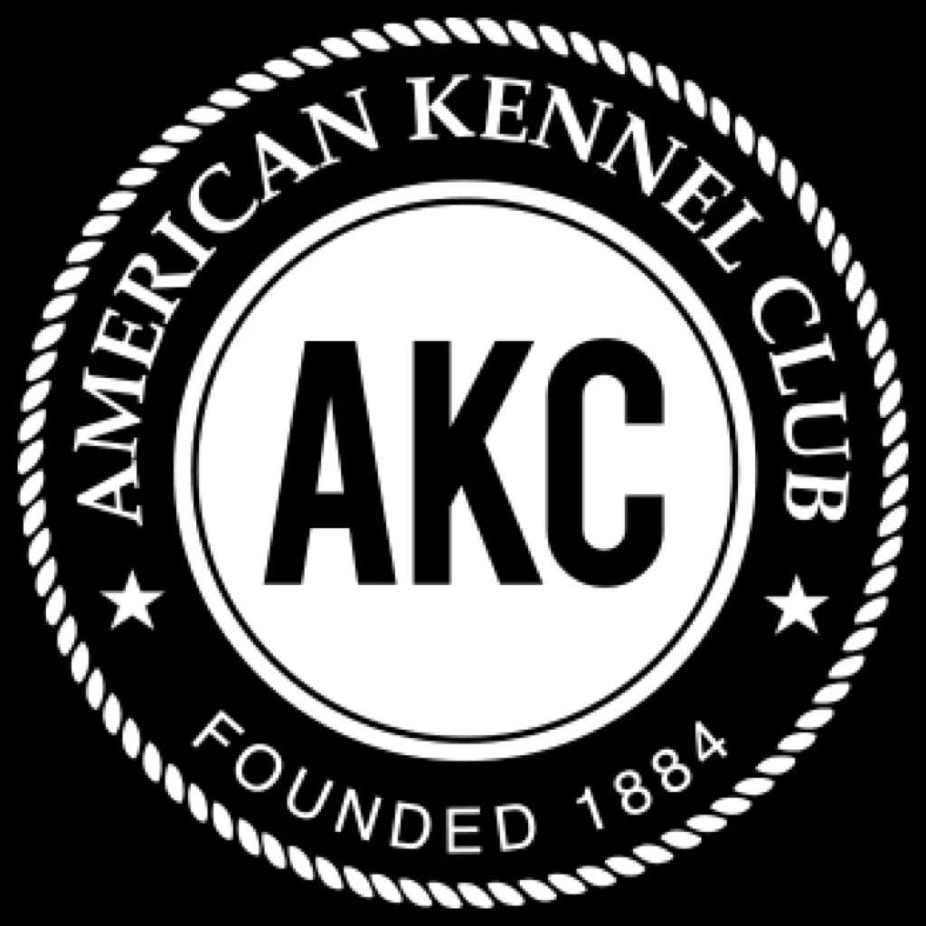 American Kennel Club
