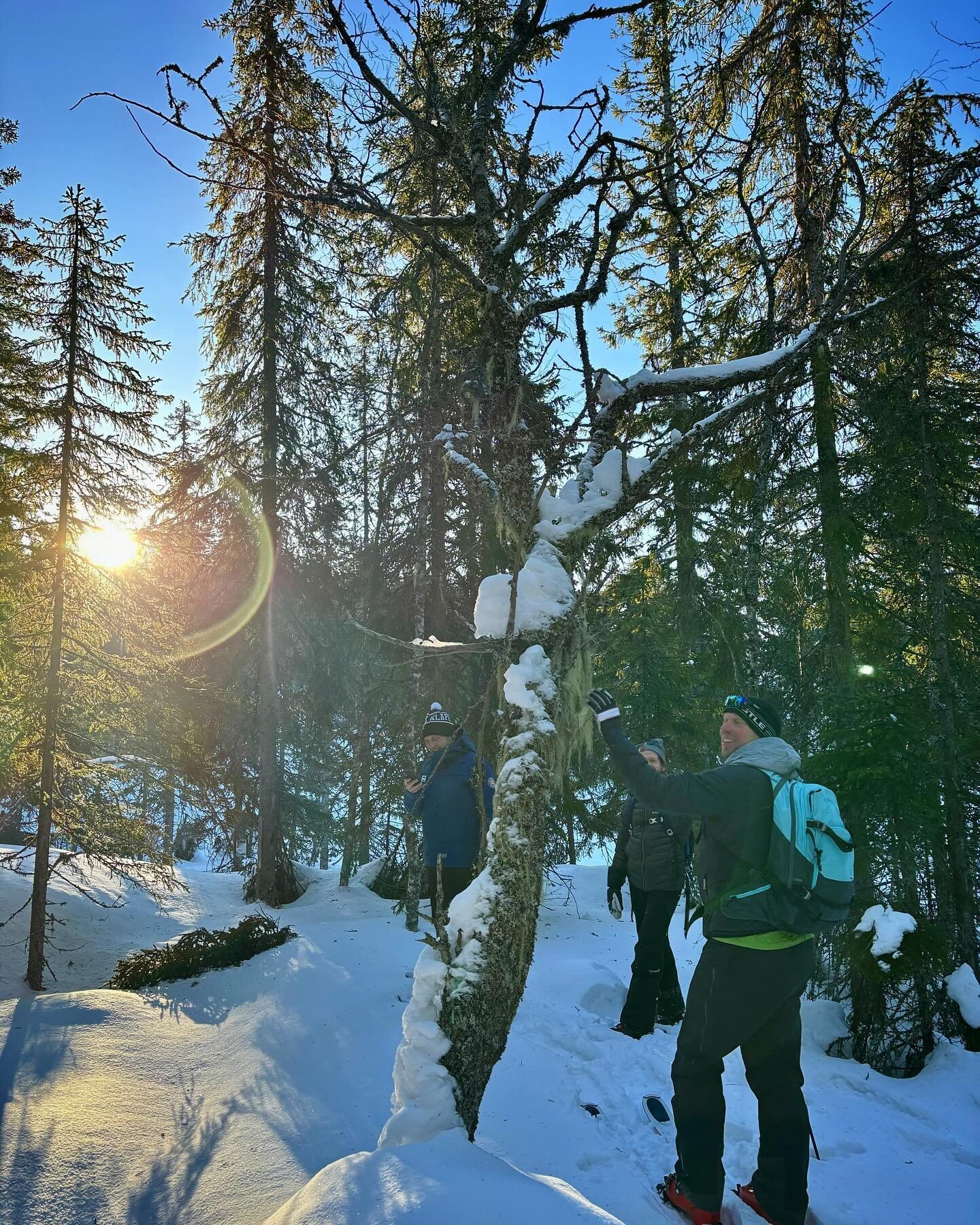 Tillsammans med Fredrik Stenmalm kollar vi in framtidsplanerna hos @klappenski i S&auml;len. Kl&auml;ppen var faktiskt lite f&ouml;re sin egen tid n&auml;r de gjorde sin f&ouml;rsta (och ganska extrema) satsning p&aring; mountainbike f&ouml;r v&auml;