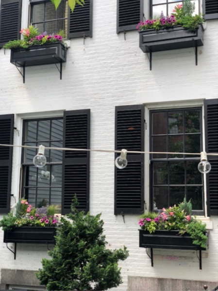 Boston Container Gardening.png