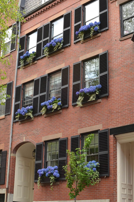 Beacon Hill Flower Boxes.png