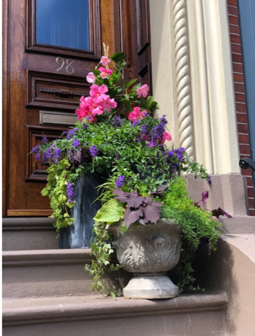 South End Garden Company.png