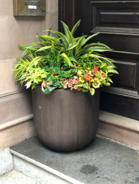Beacon Hill Garden Design.png