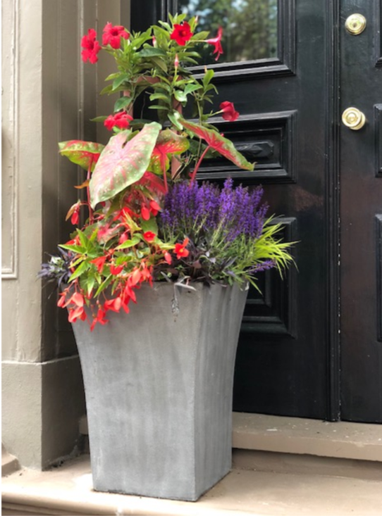 Charlestown Container Garden.png