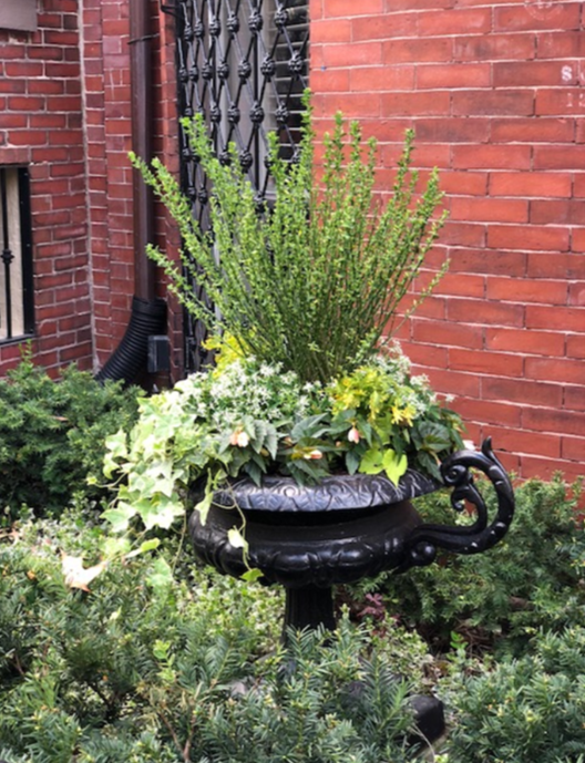 South end gardens.png