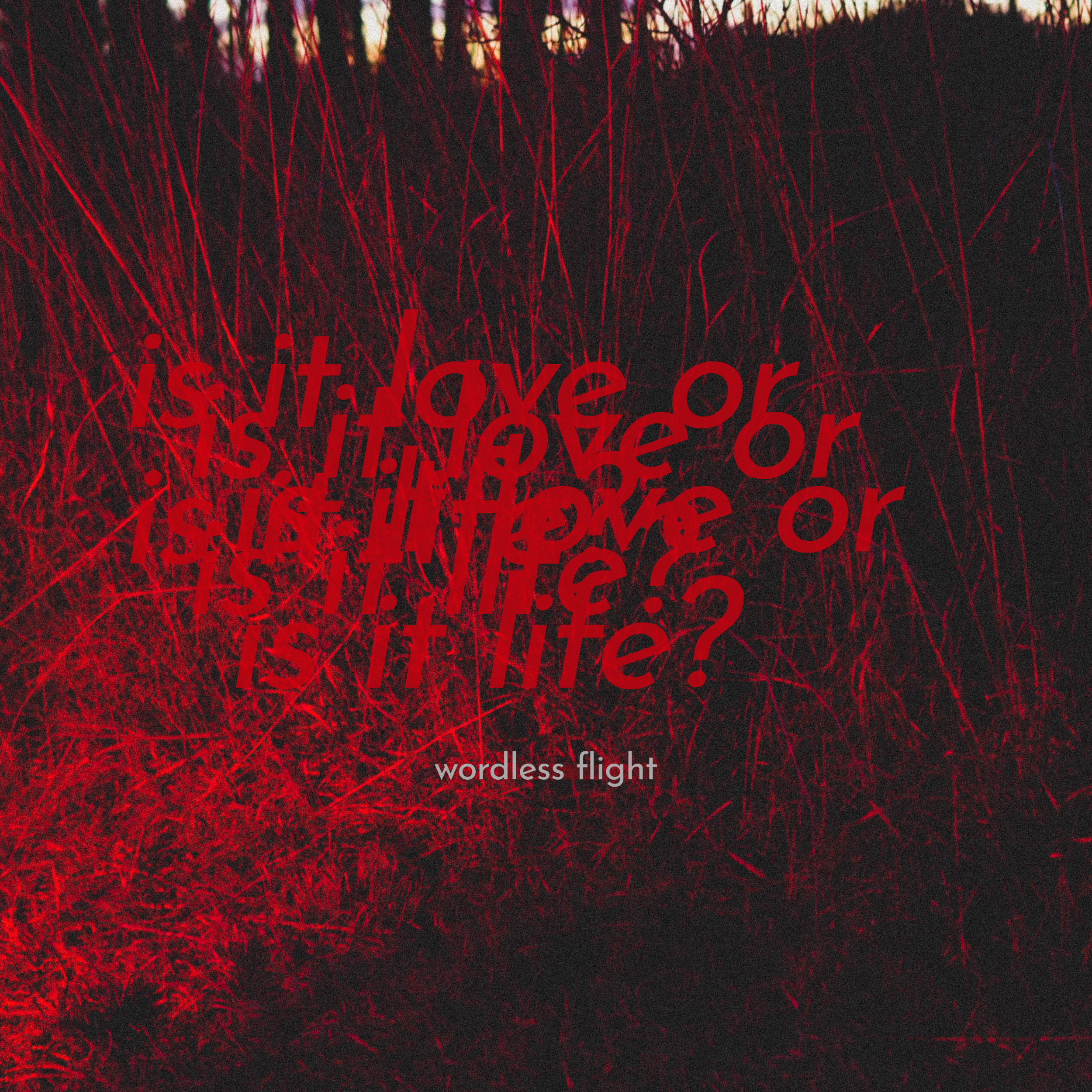 Is It Love or Is It Life 3.png