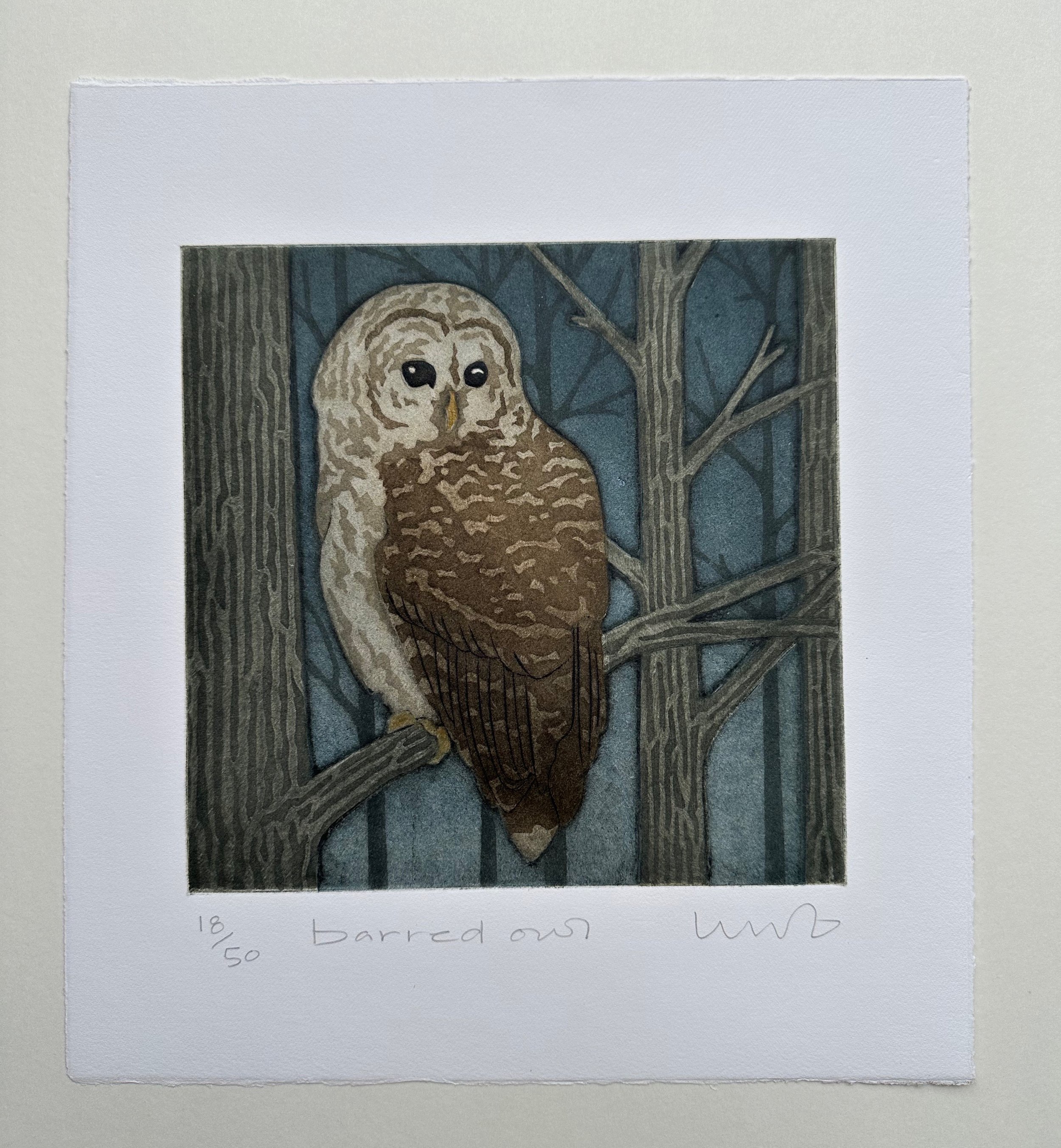 Owl_store2.jpeg