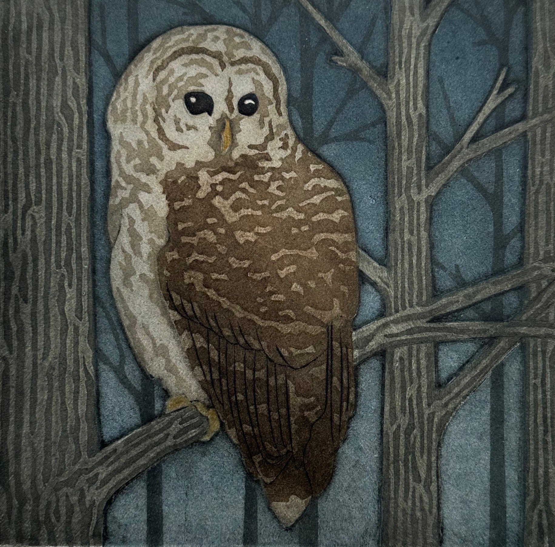 Owl_store1.jpeg