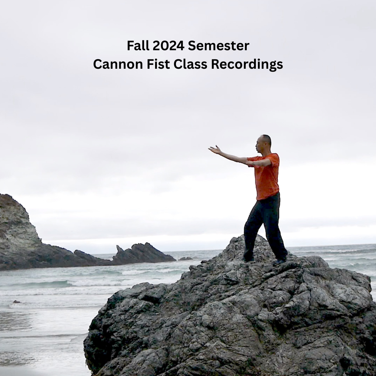 Fall 2024 Forms 1-8