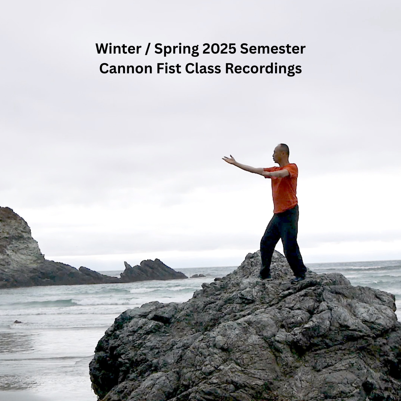 Cannon Fist Video Pkg - Winter:Spring 2025.png