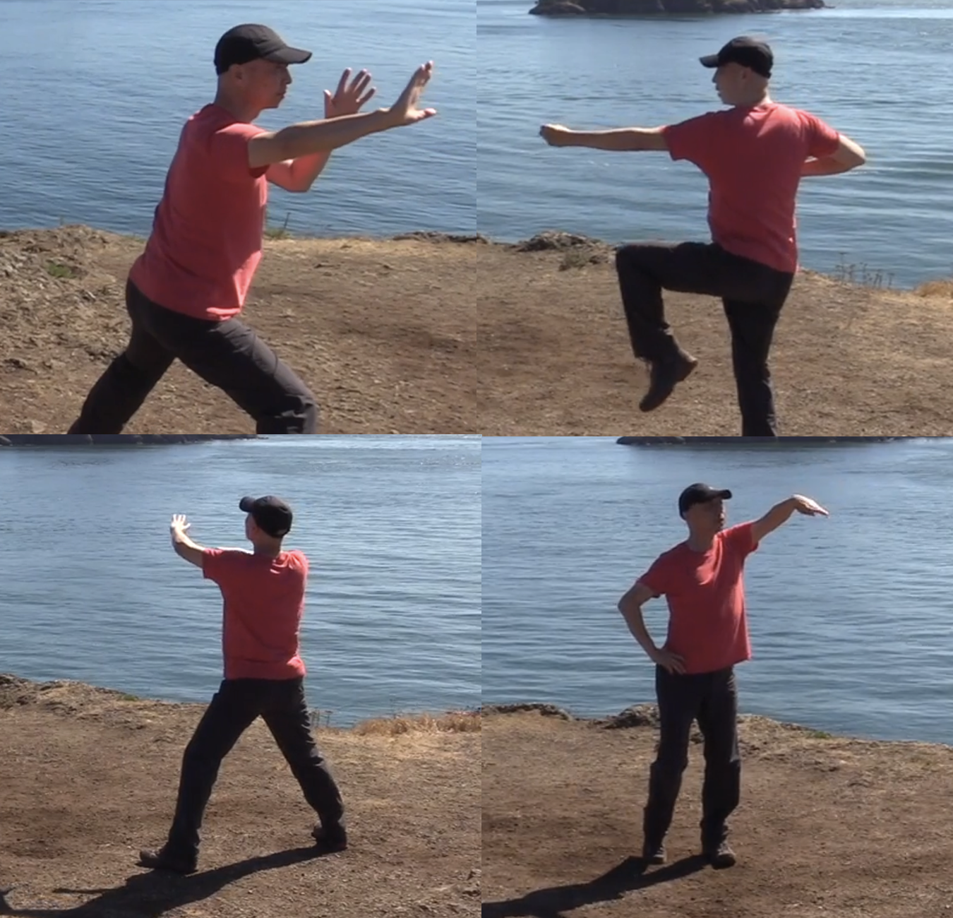 pt6.png