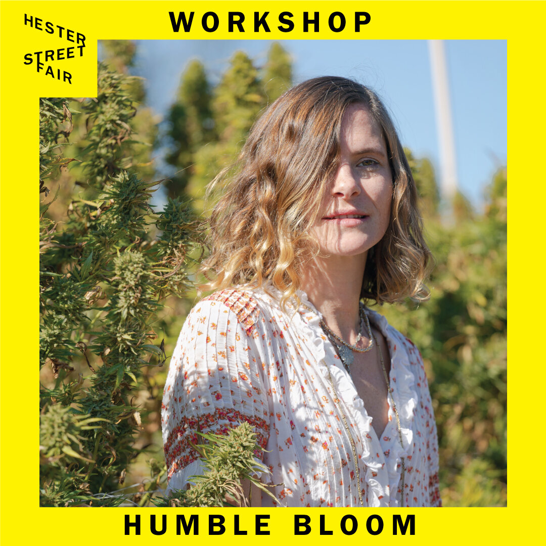 Humble Bloom - Infusing 🌿 Cannabis in the time of COVID 19 