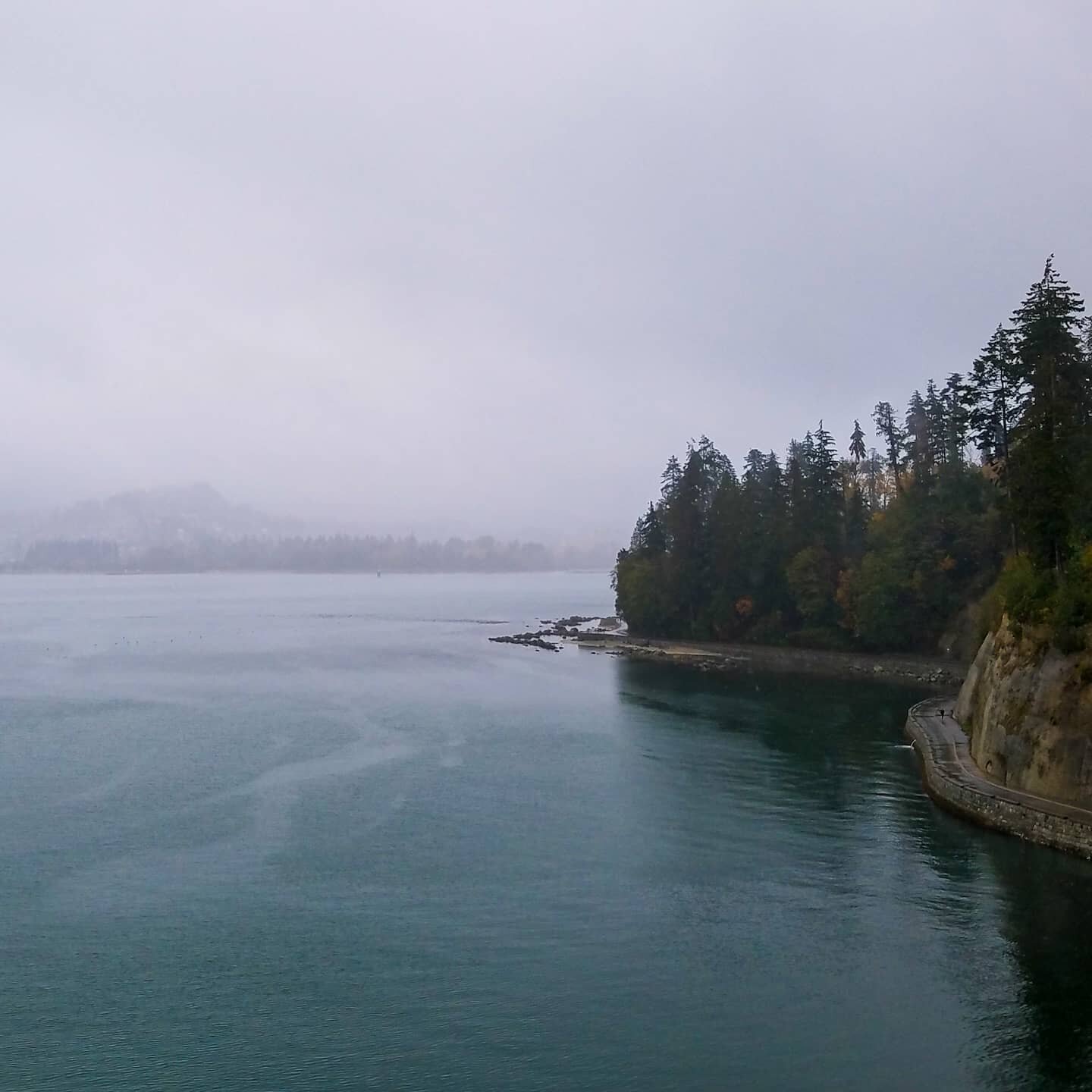 My husband and I took a trip to Vancouver a few years ago and the first day there we had a plan to hike the infamous Grouse Grind. But on the day of it was raining so hard. We went to the trailhead and of course it was closed. 

I was so BUMMED. I ha