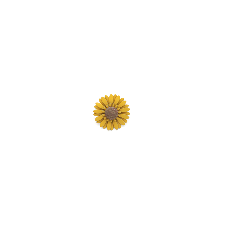 FLEURS-COULEURS-FW25_26-SUNPM.png