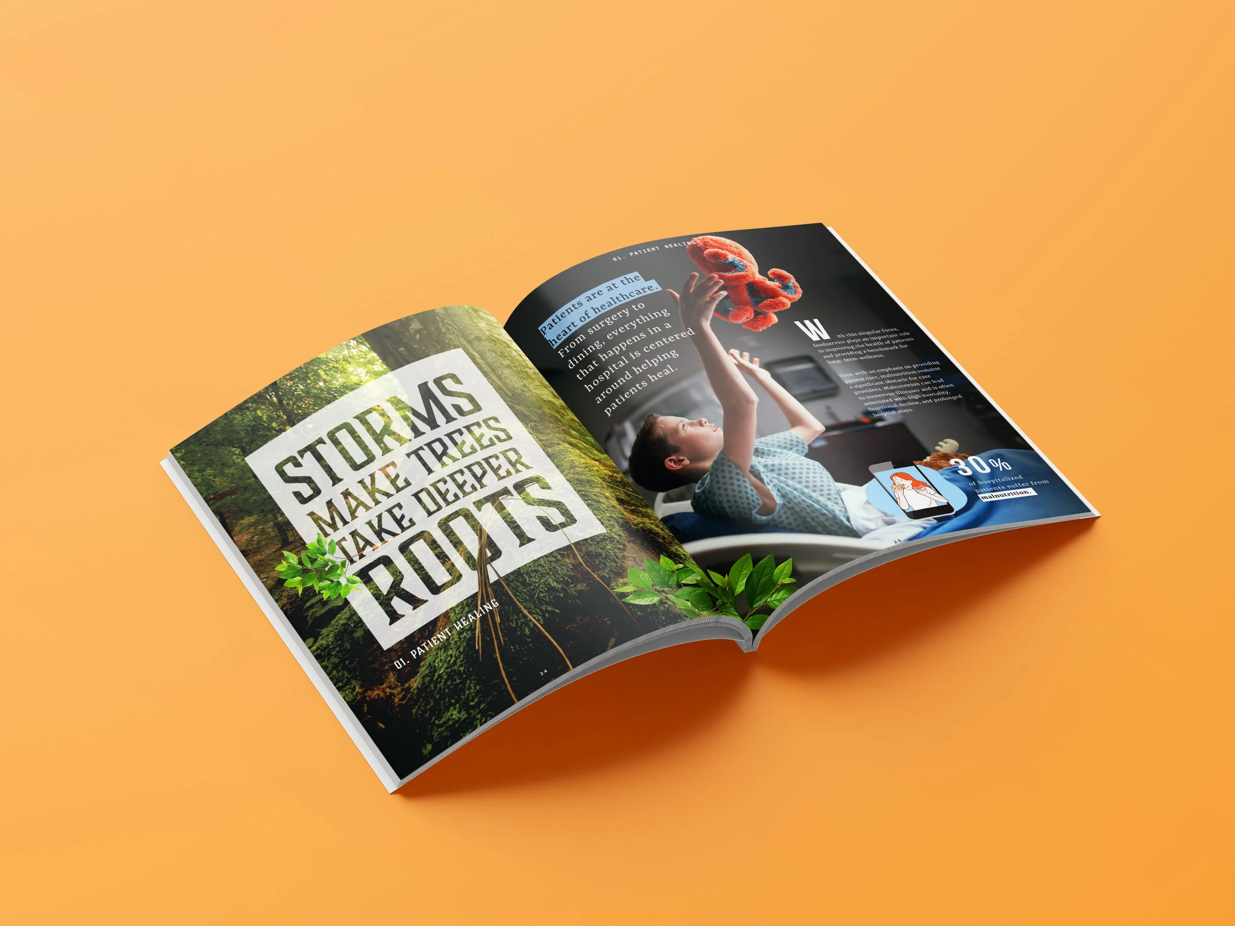 2022_Vision Book_mockup_book 04_open_V2.jpg