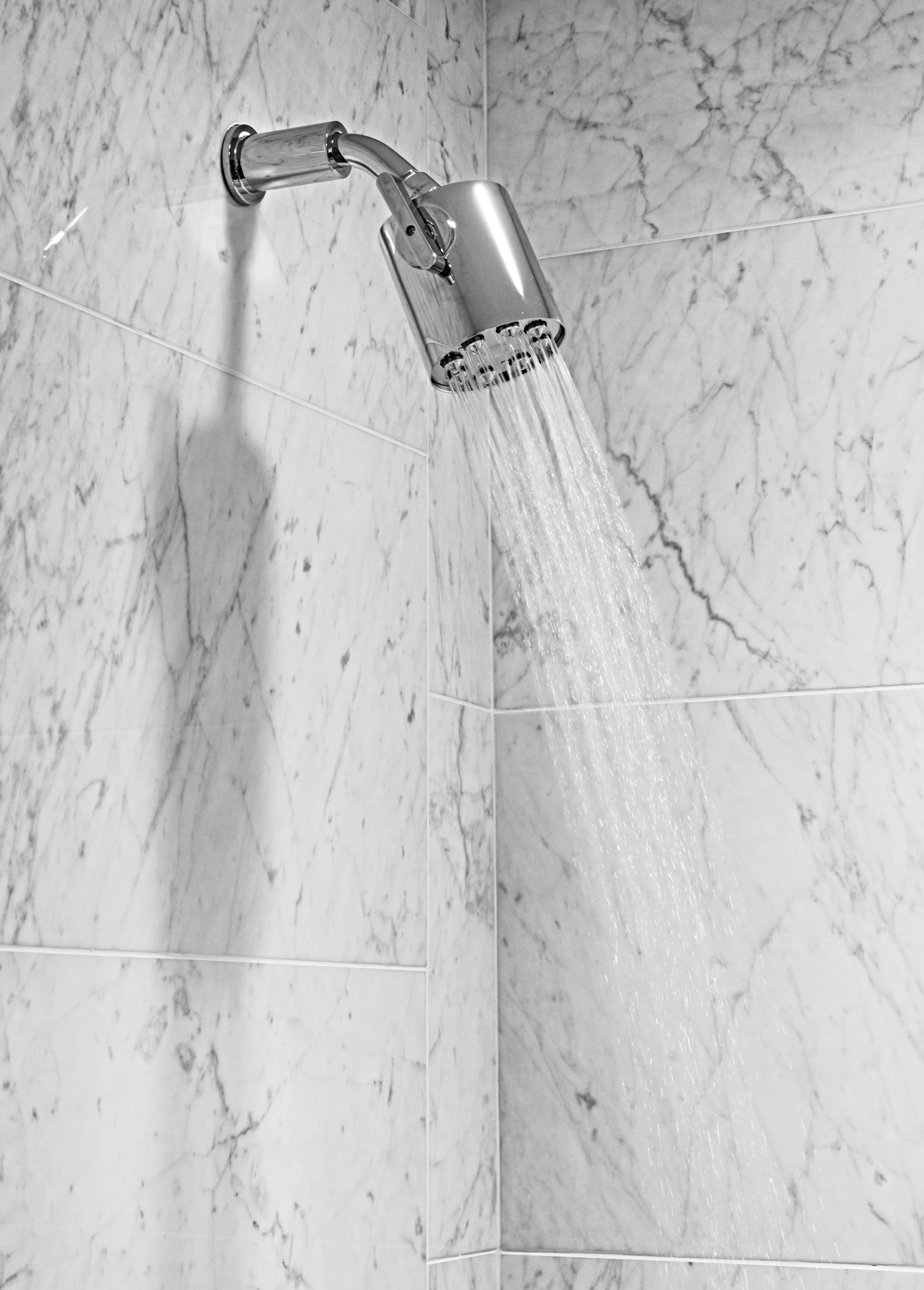 Robert Siegel's house in Katonah-NY_DSC_7956.jpg