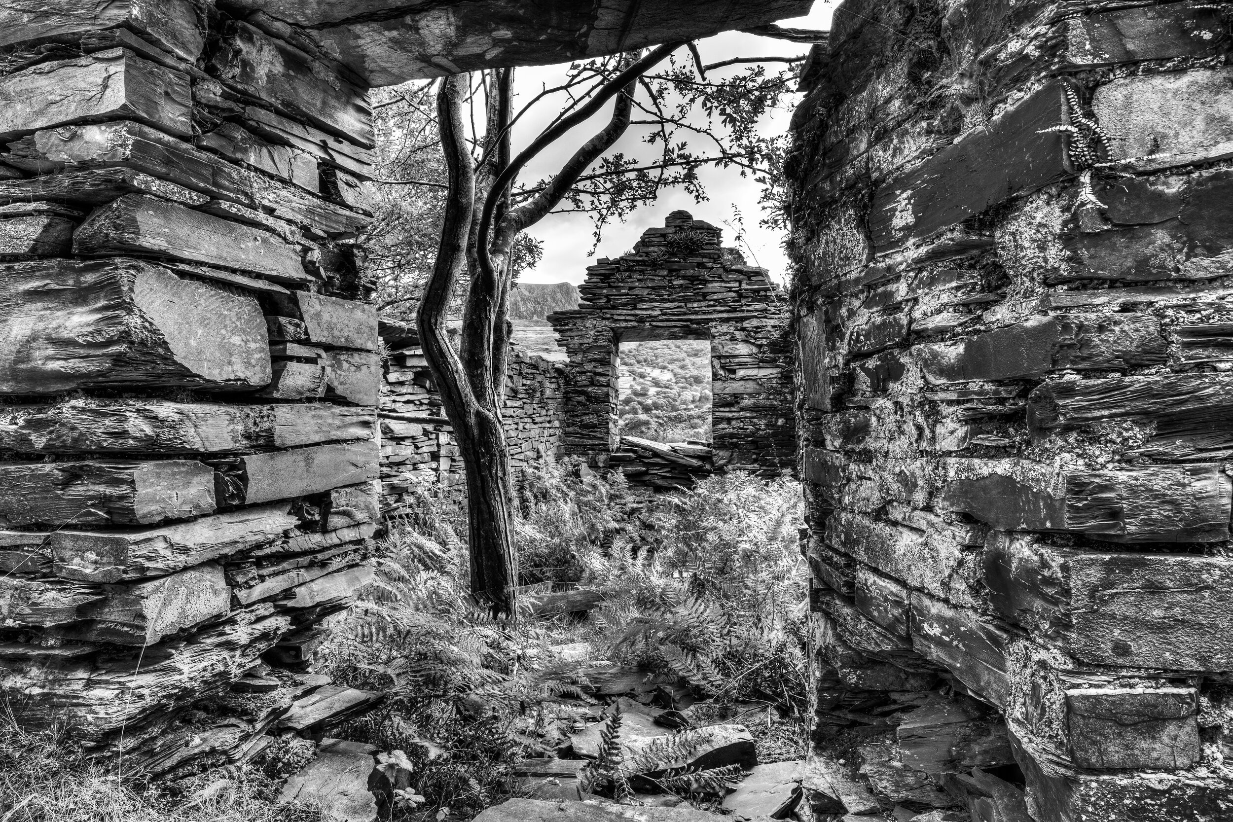 Miners Barracks, Pen-y-Bryn