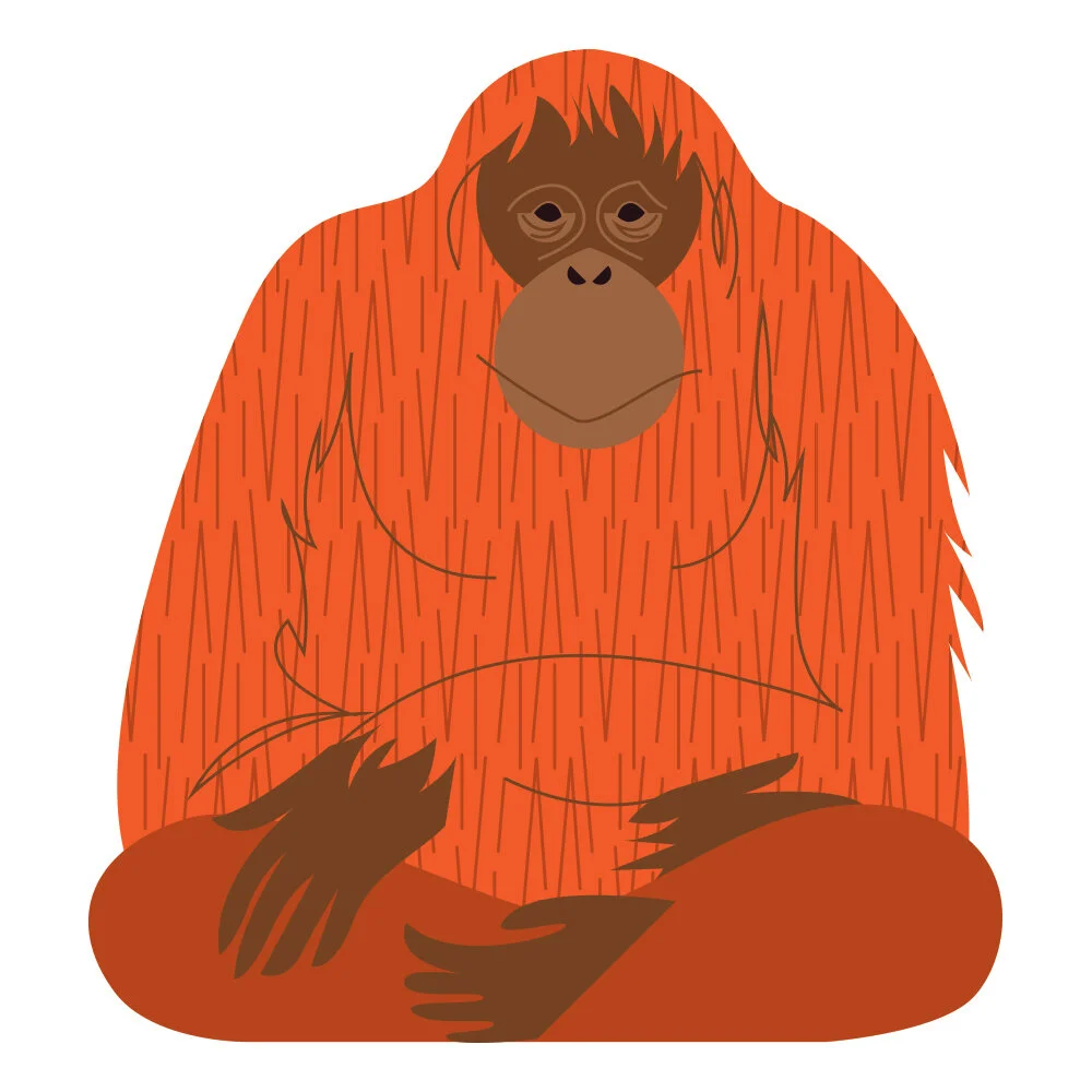 Denver Zoo Eleanor Design And Illustration