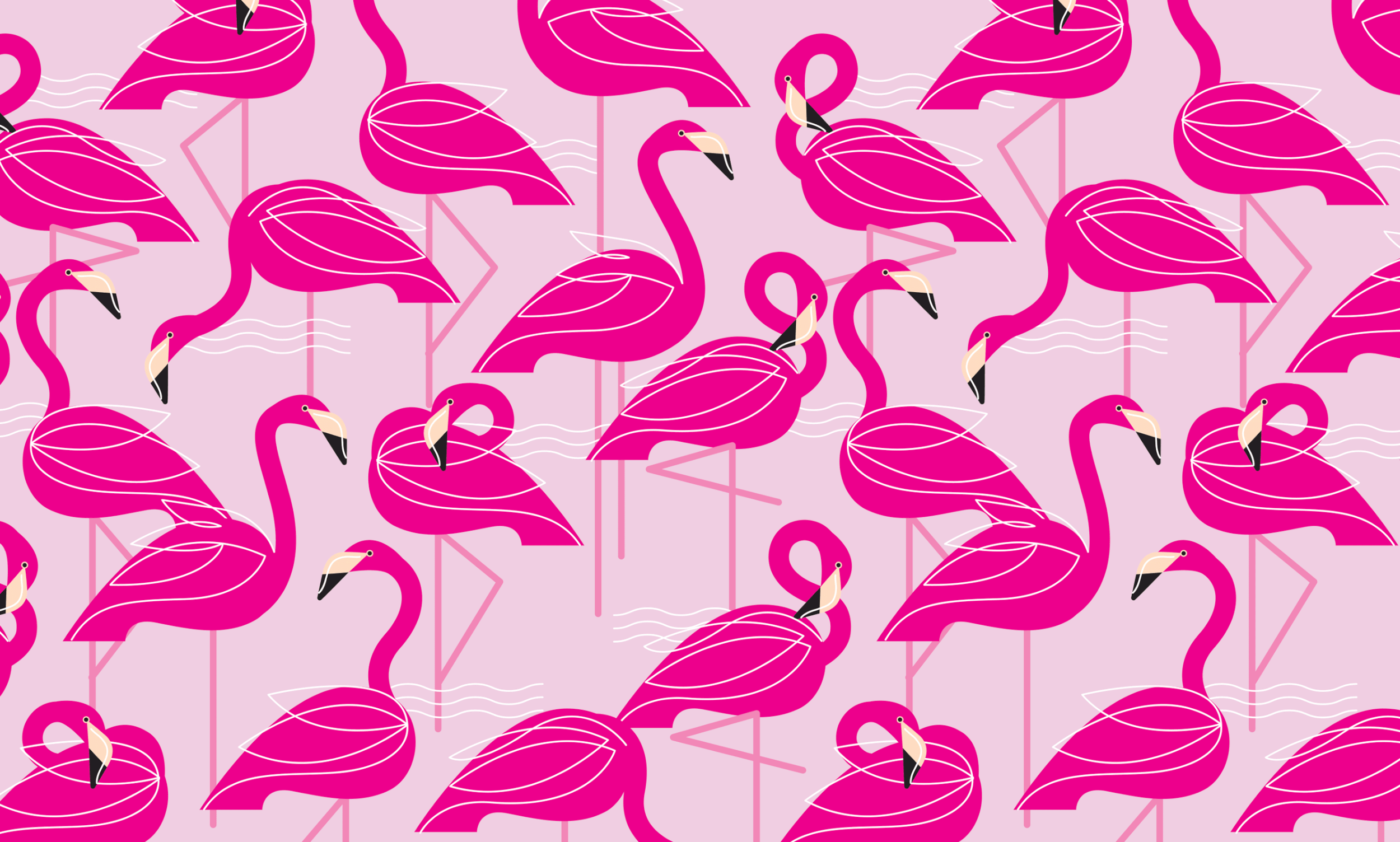 flamingos.gif