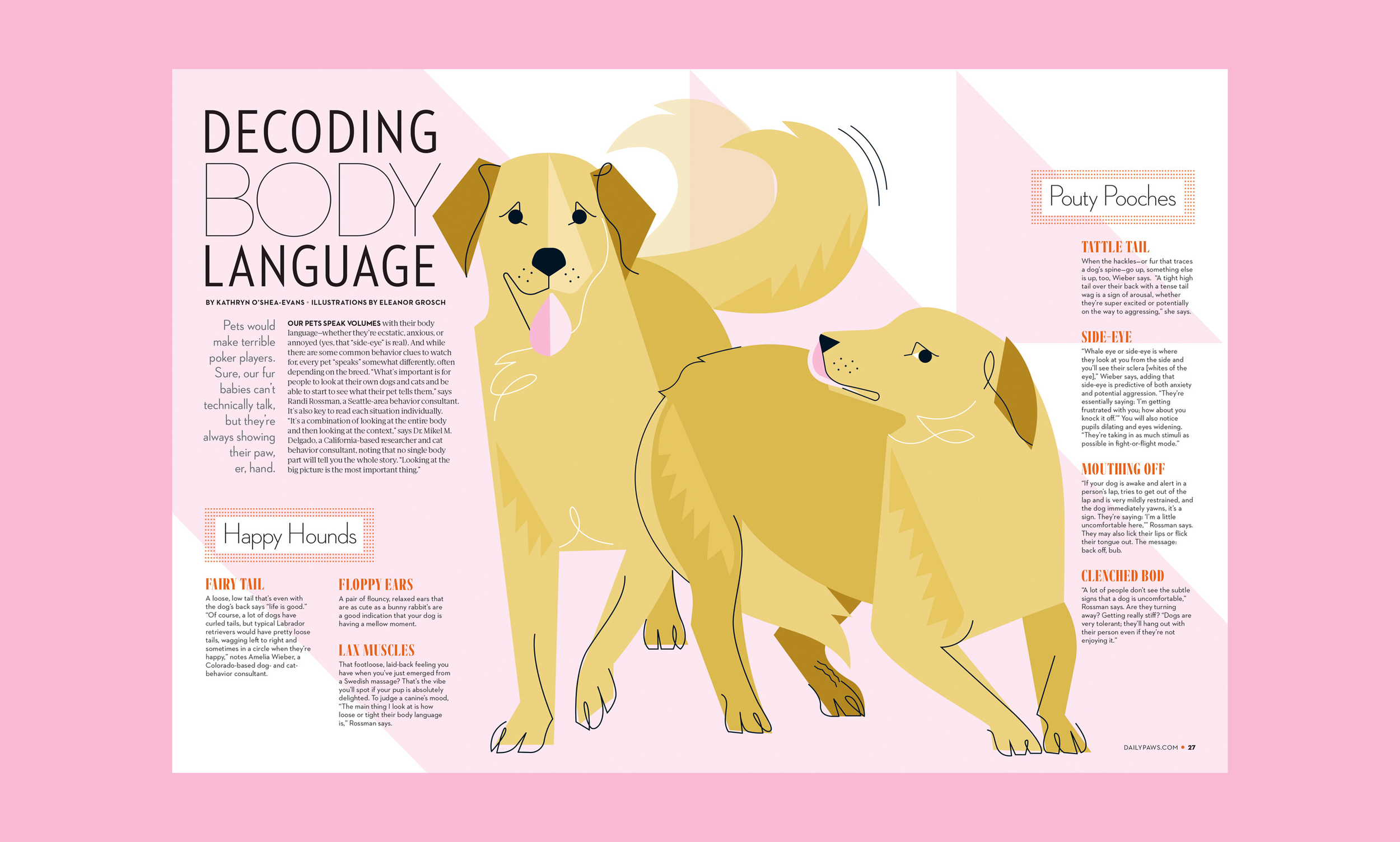 dog.png