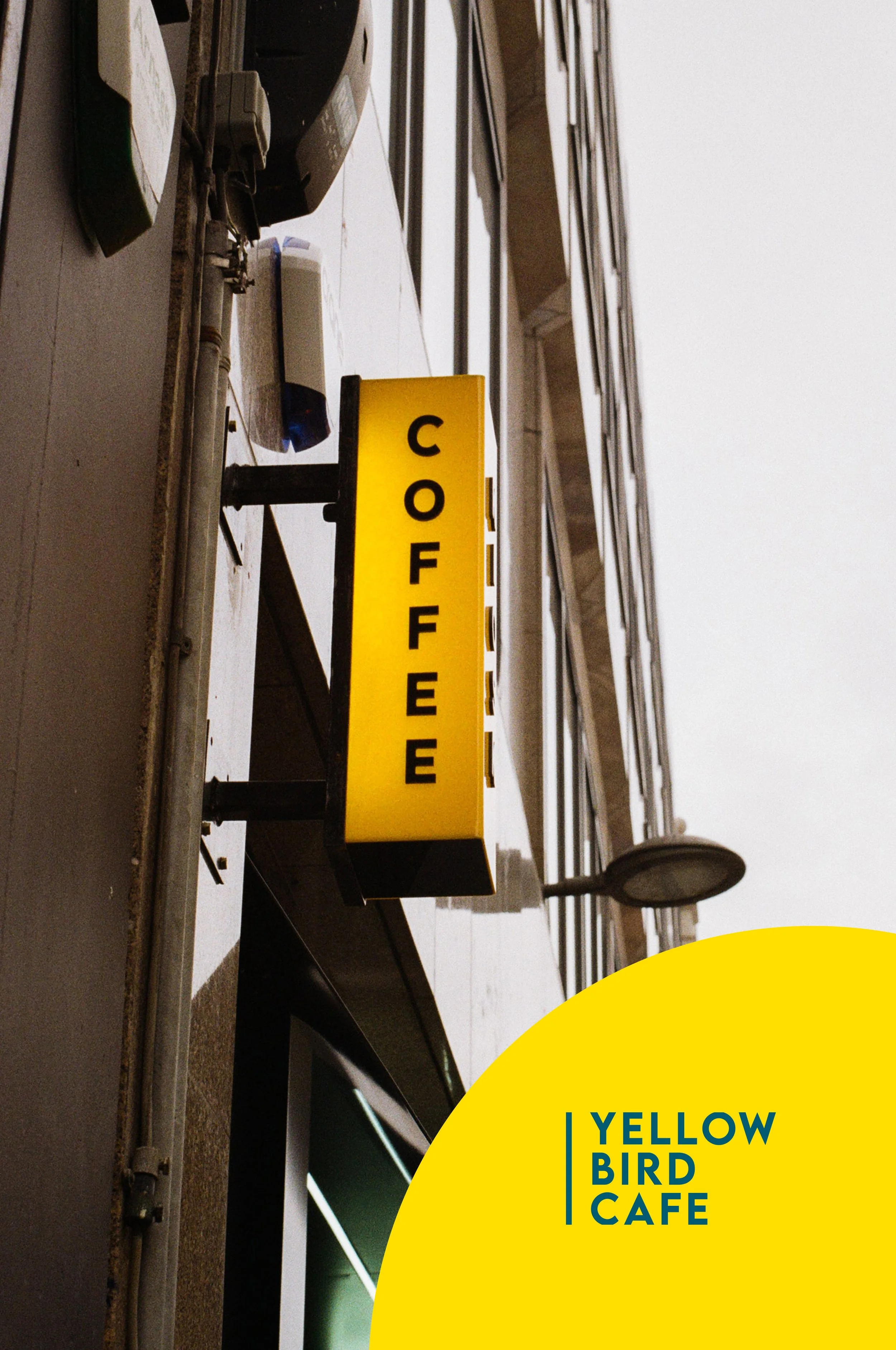 Yellow Bird Coffee Shop — Eleanor Design and Illustration